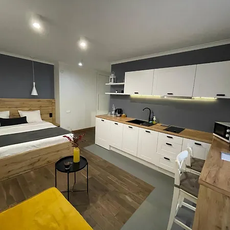 Scandic Apartments-feels Like Home! Apartment Lviv
